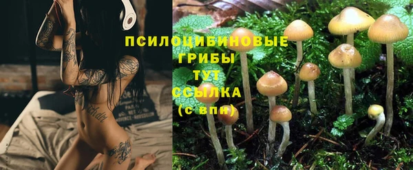 a pvp Очёр