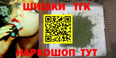 apvp Камышлов