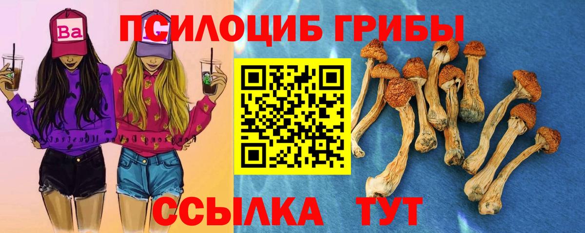 Псилоцибиновые грибы Cubensis  дарнет шоп  Ялуторовск 