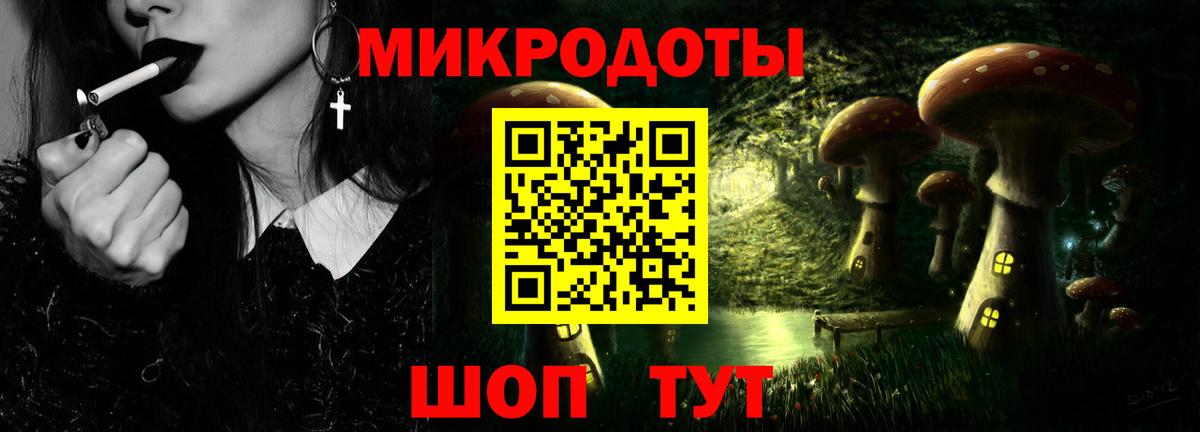 Галлюциногенные грибы Psilocybine cubensis Ялуторовск